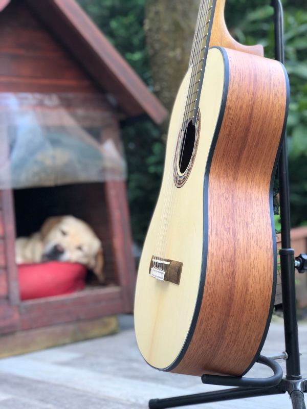 Valencia VC304 Sunburst Mat - Görsel 5